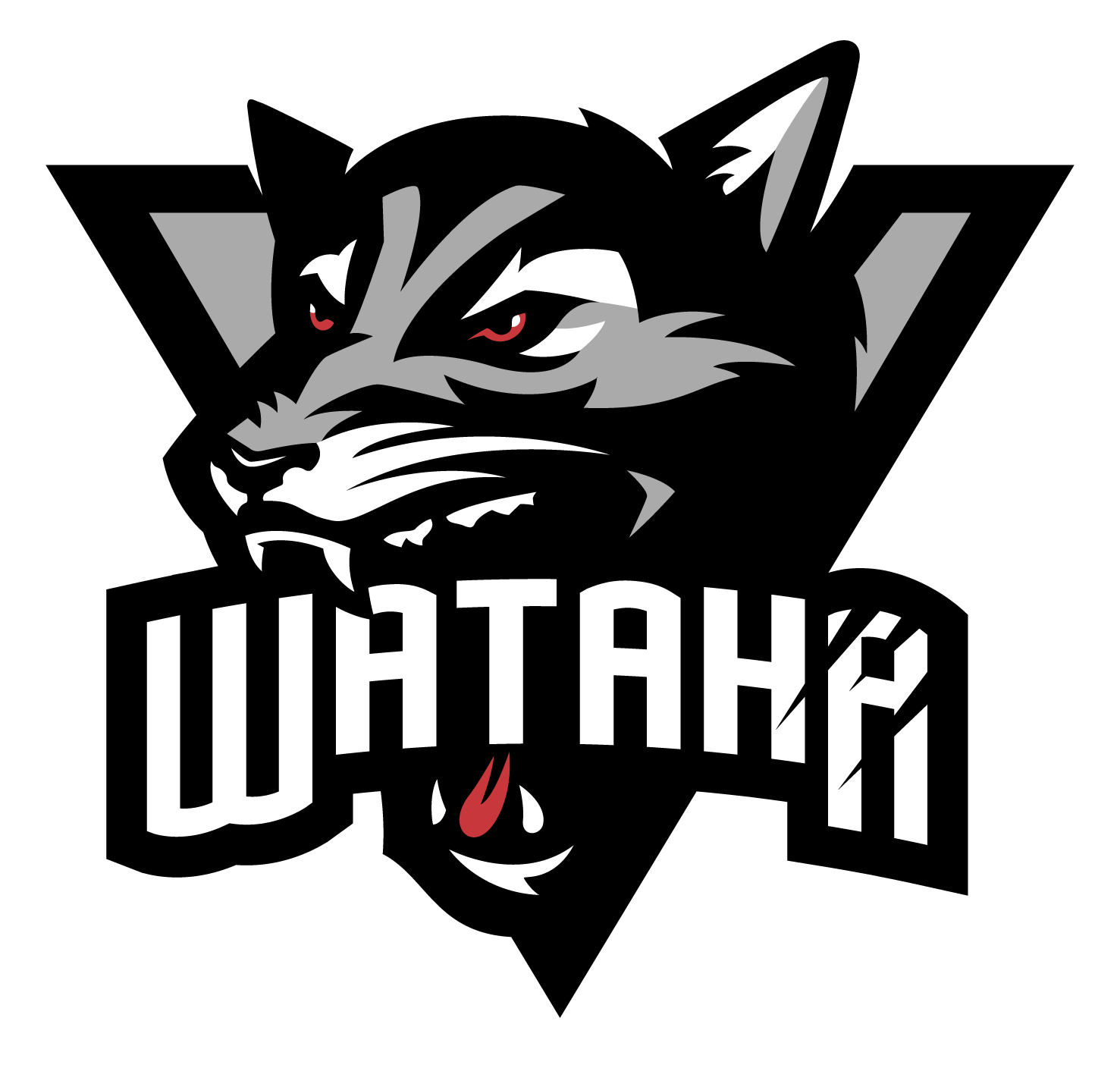 Wataha – przewozy autobusowe